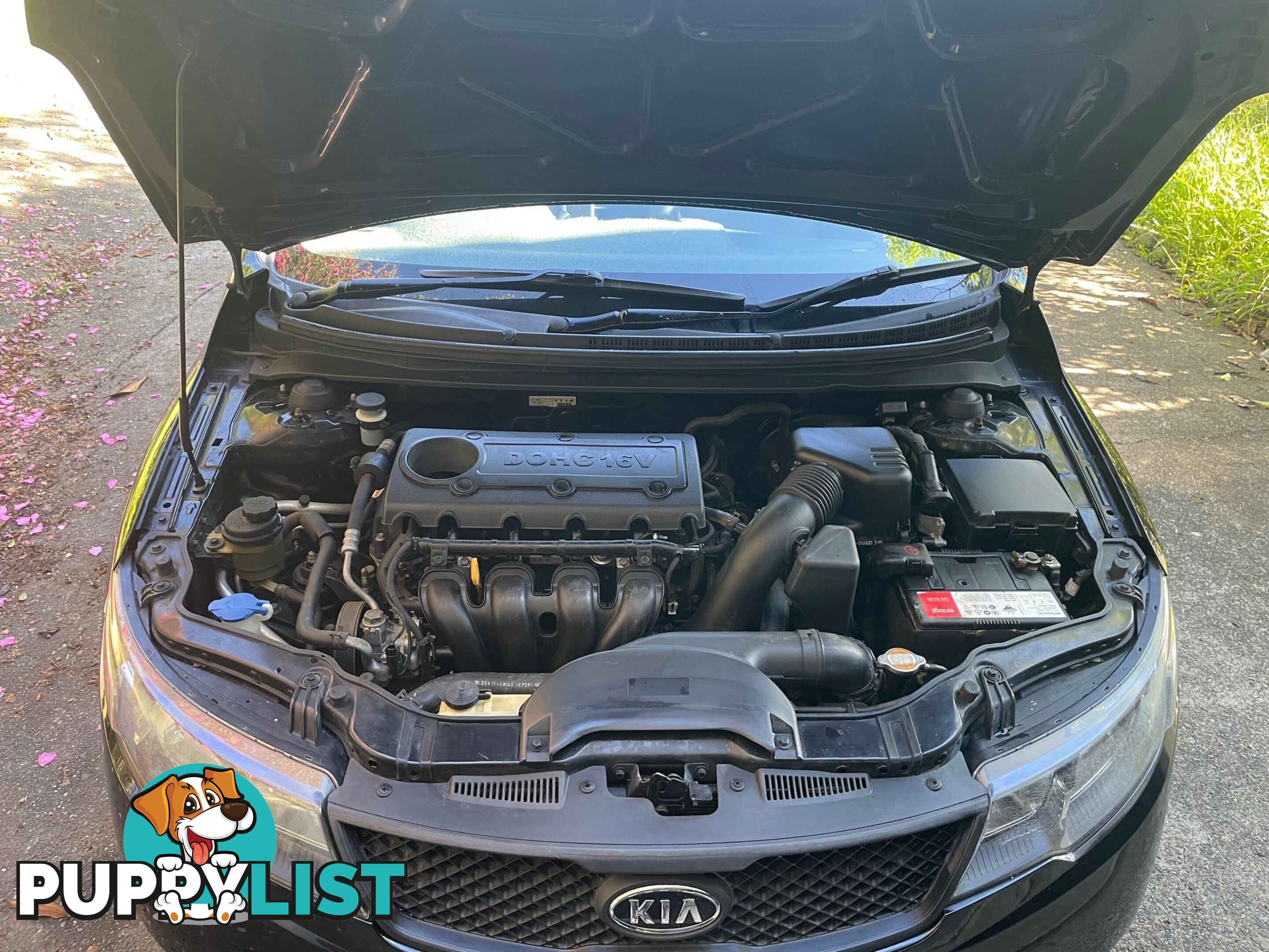 2009 Kia Cerato TD KIA Sedan Manual