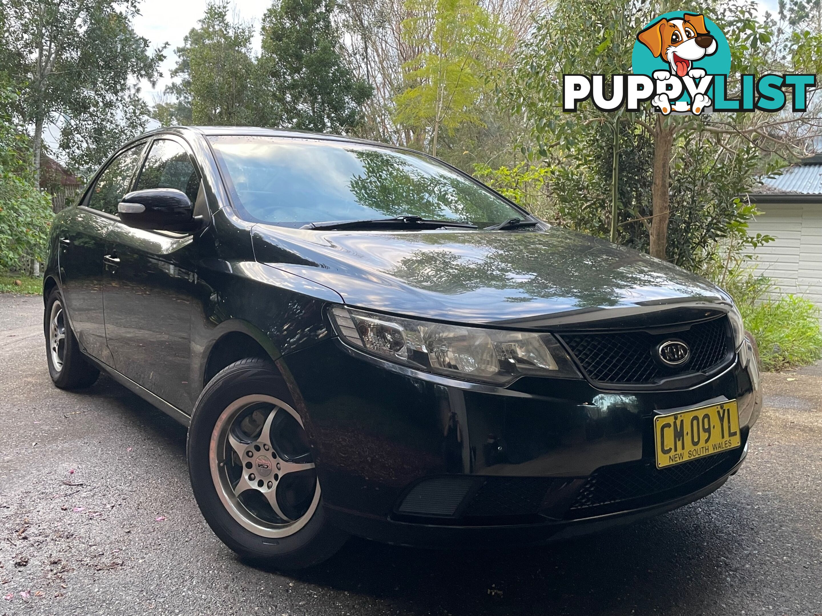 2009 Kia Cerato TD KIA Sedan Manual