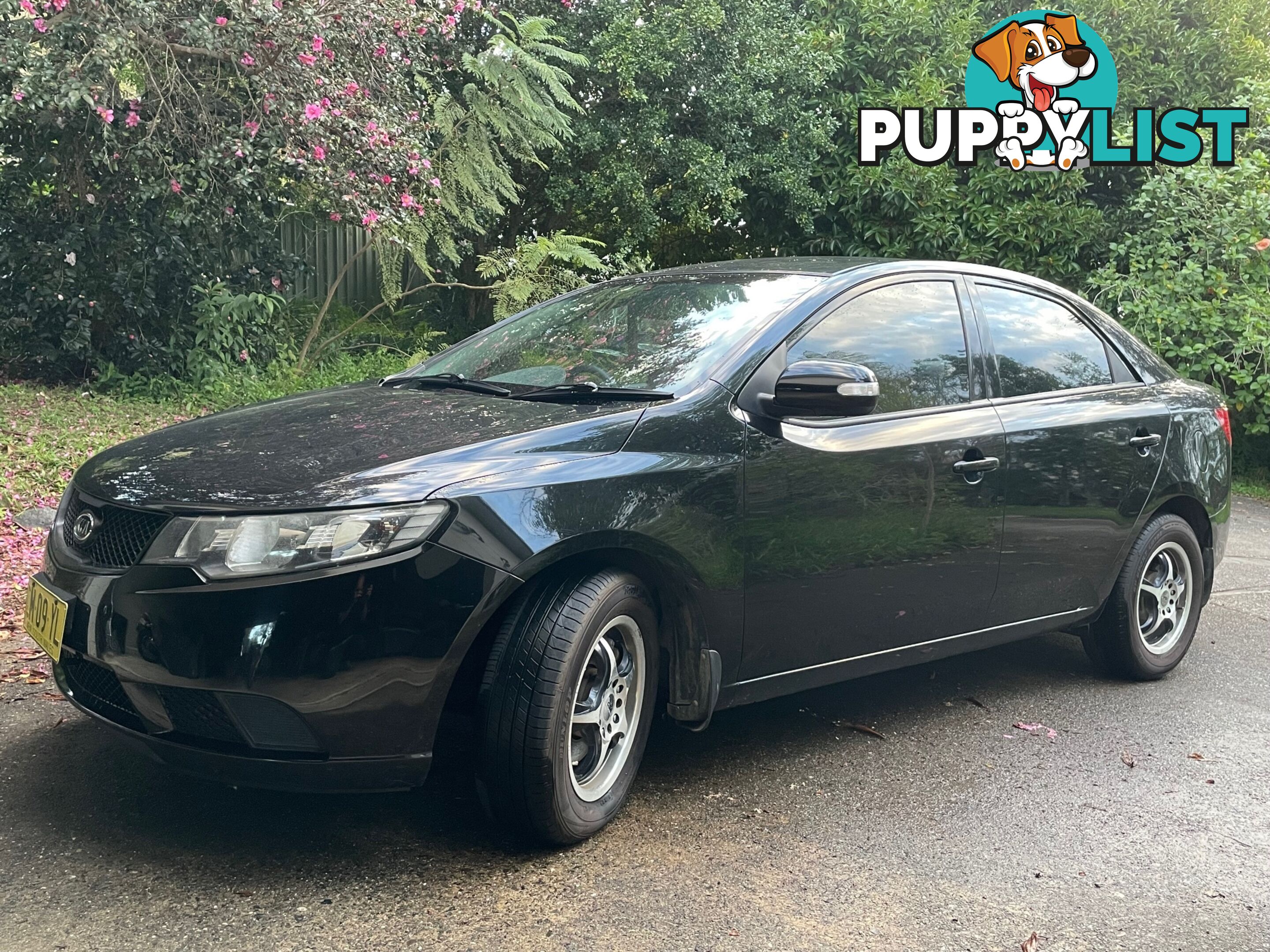 2009 Kia Cerato TD KIA Sedan Manual