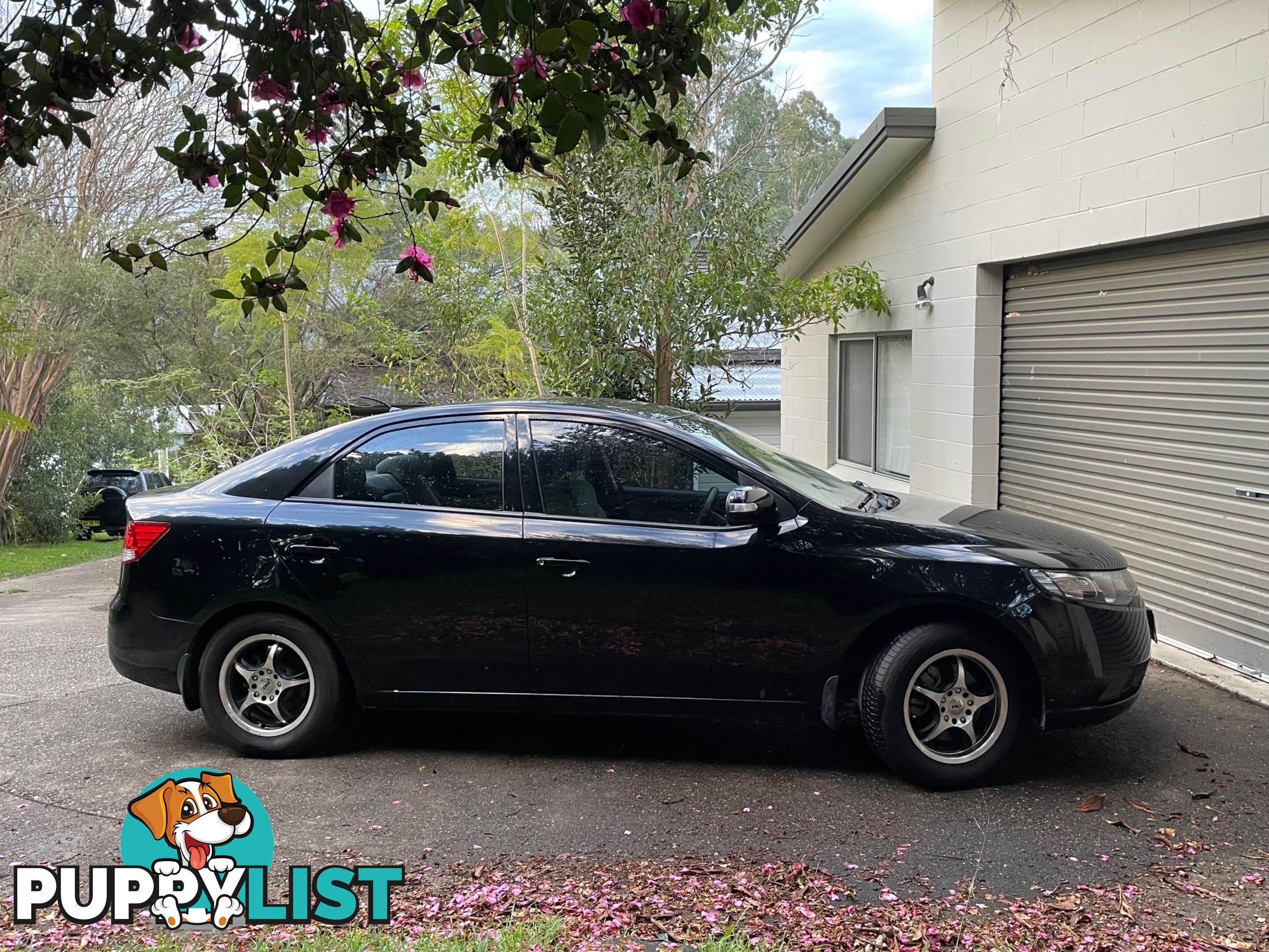 2009 Kia Cerato TD KIA Sedan Manual