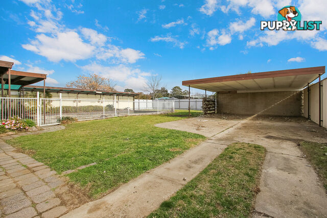 29 Murphy Street WODONGA VIC 3690