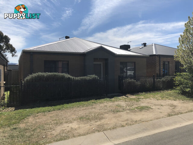 7 Macquarie Road WEST WODONGA VIC 3690