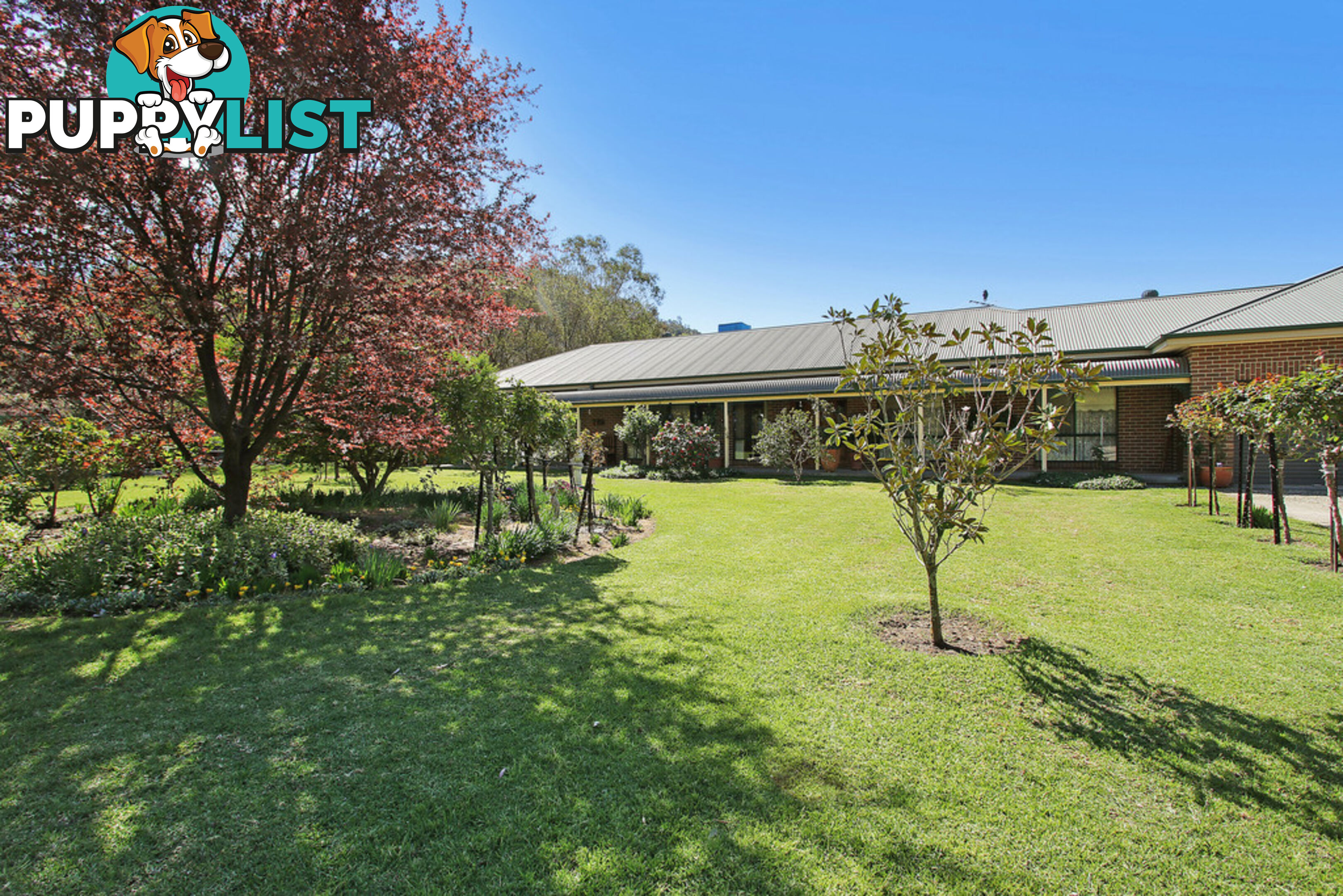 302 Felltimber Creek Road WEST WODONGA VIC 3690