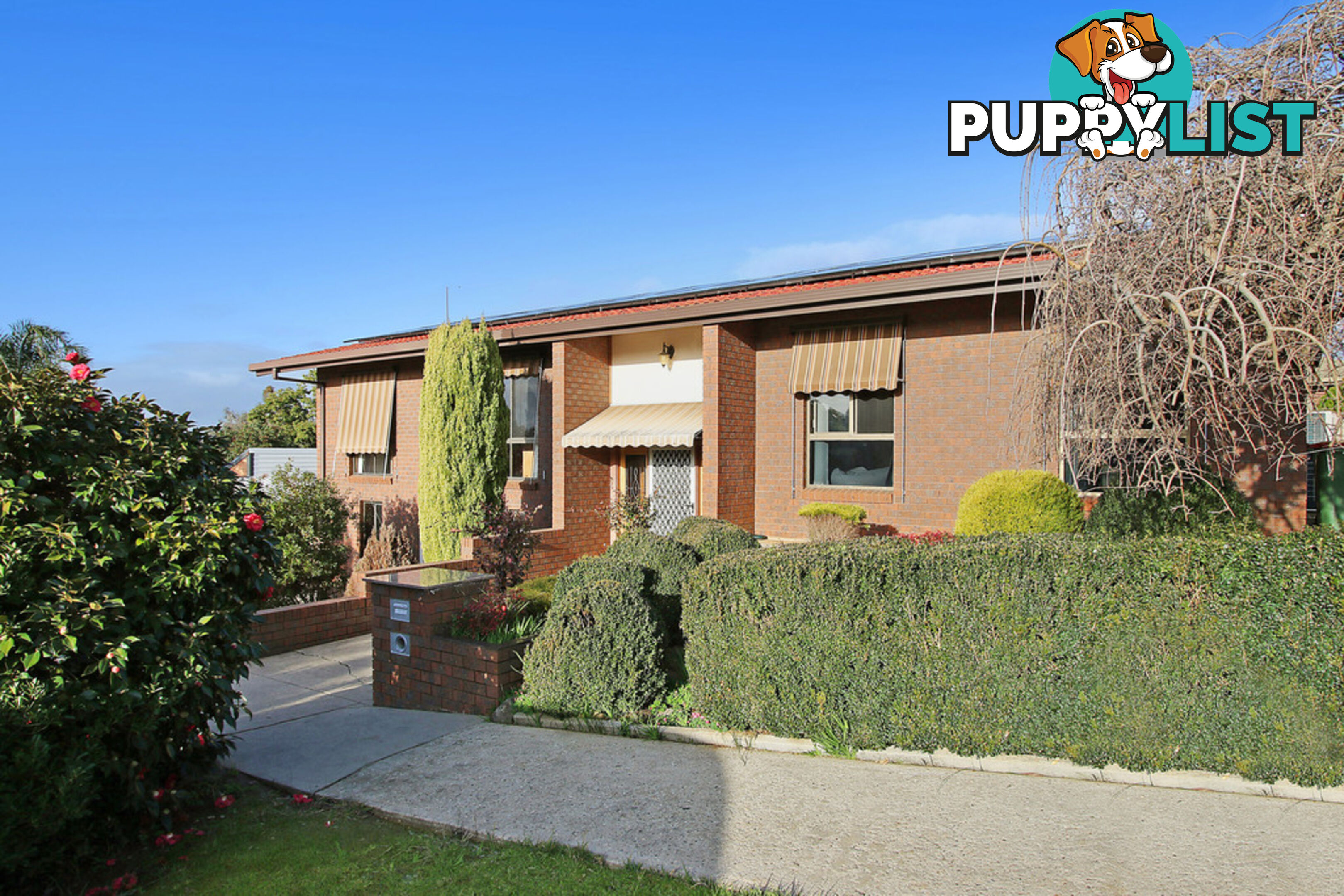 4 Nordsvan Drive WODONGA VIC 3690