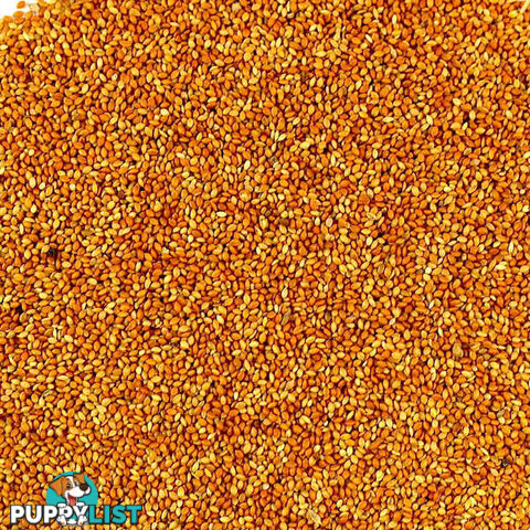 AVIGRAIN RED PANICUM 20KG