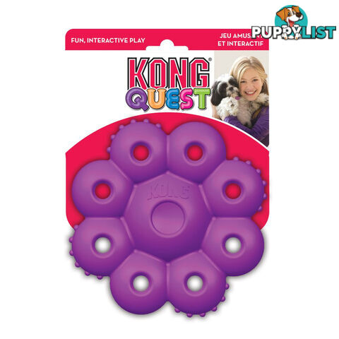 KONG QUEST STAR POD- LARGE