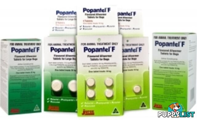 POPANTEL F - FLAVOURED ALLWORMER TABLETS FOR DOGS