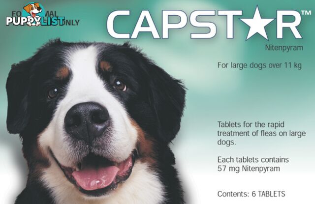 CAPSTAR TABLETS FOR LARGE DOGS 11.1-57KG - 6 TABLE