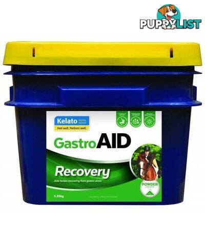 KELATO GASTROAID RECOVERY