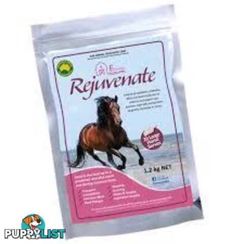 EQUINE VIT & MIN- REJUVENATE