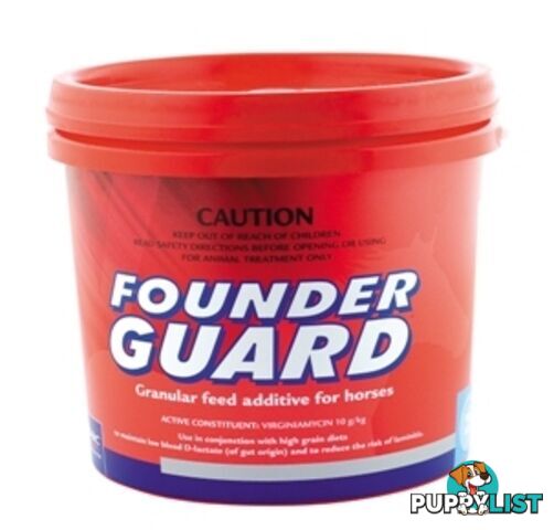 FOUNDER GUARD