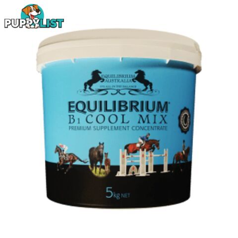 EQUILIBRIUM B1 COOL MIX BLUE