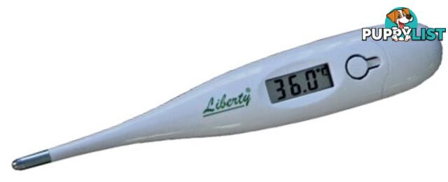 DIGITAL THERMOMETER -RAPID READ