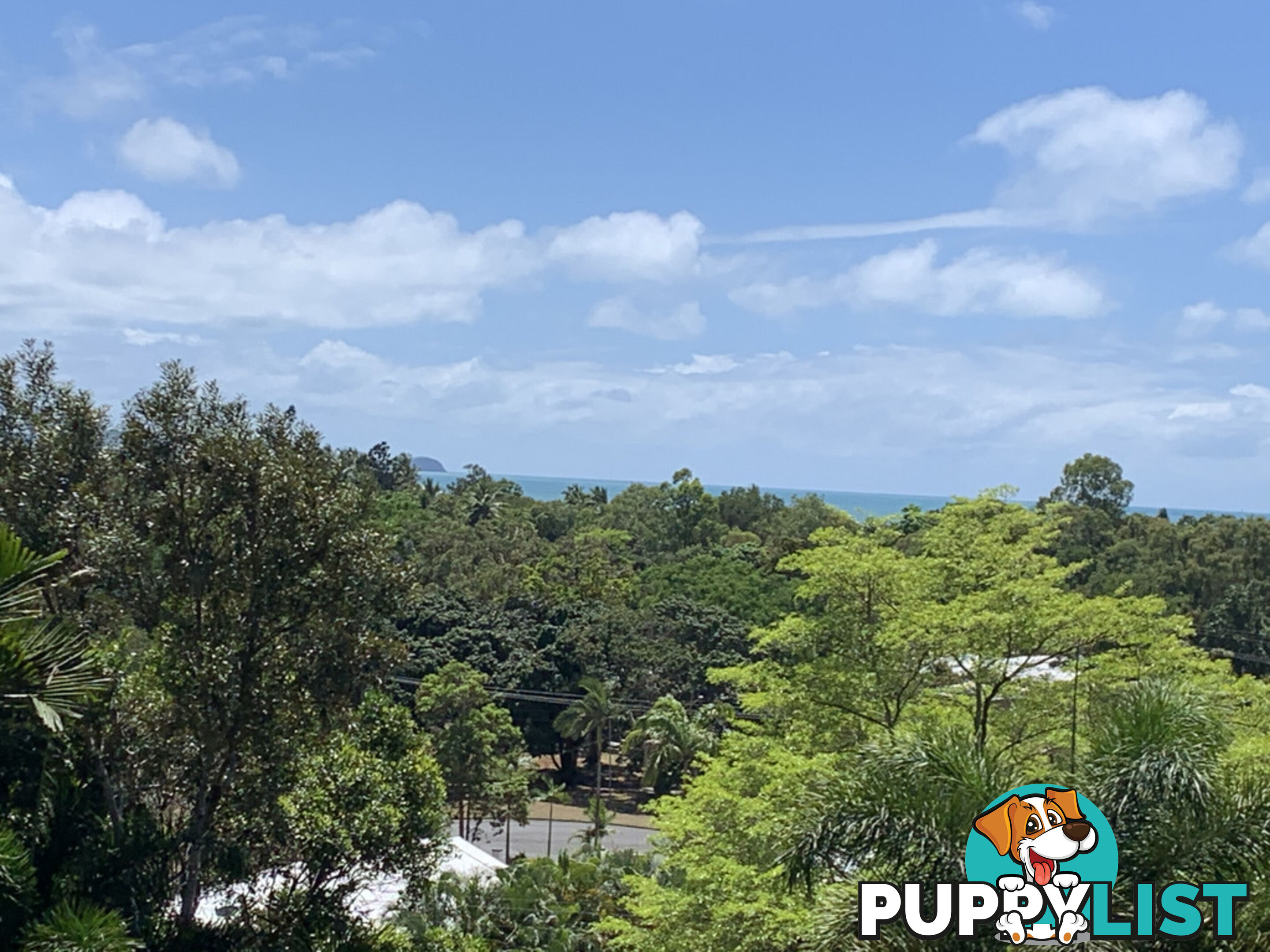 1549 Mossman Daintree Road WONGA BEACH QLD 4873