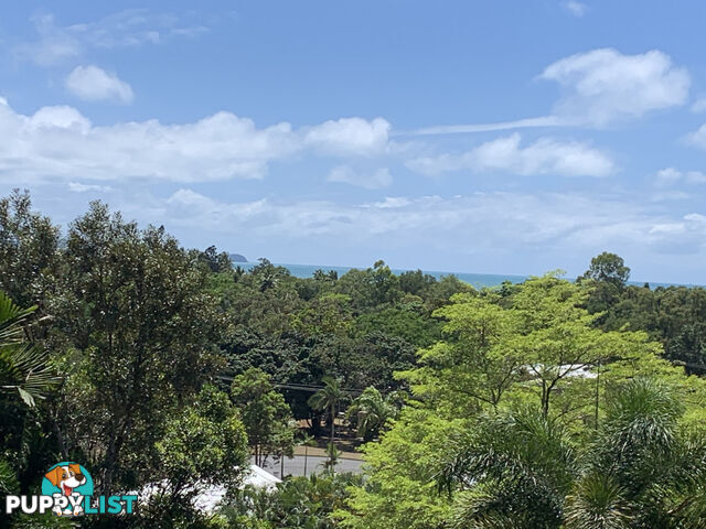 1549 Mossman Daintree Road WONGA BEACH QLD 4873