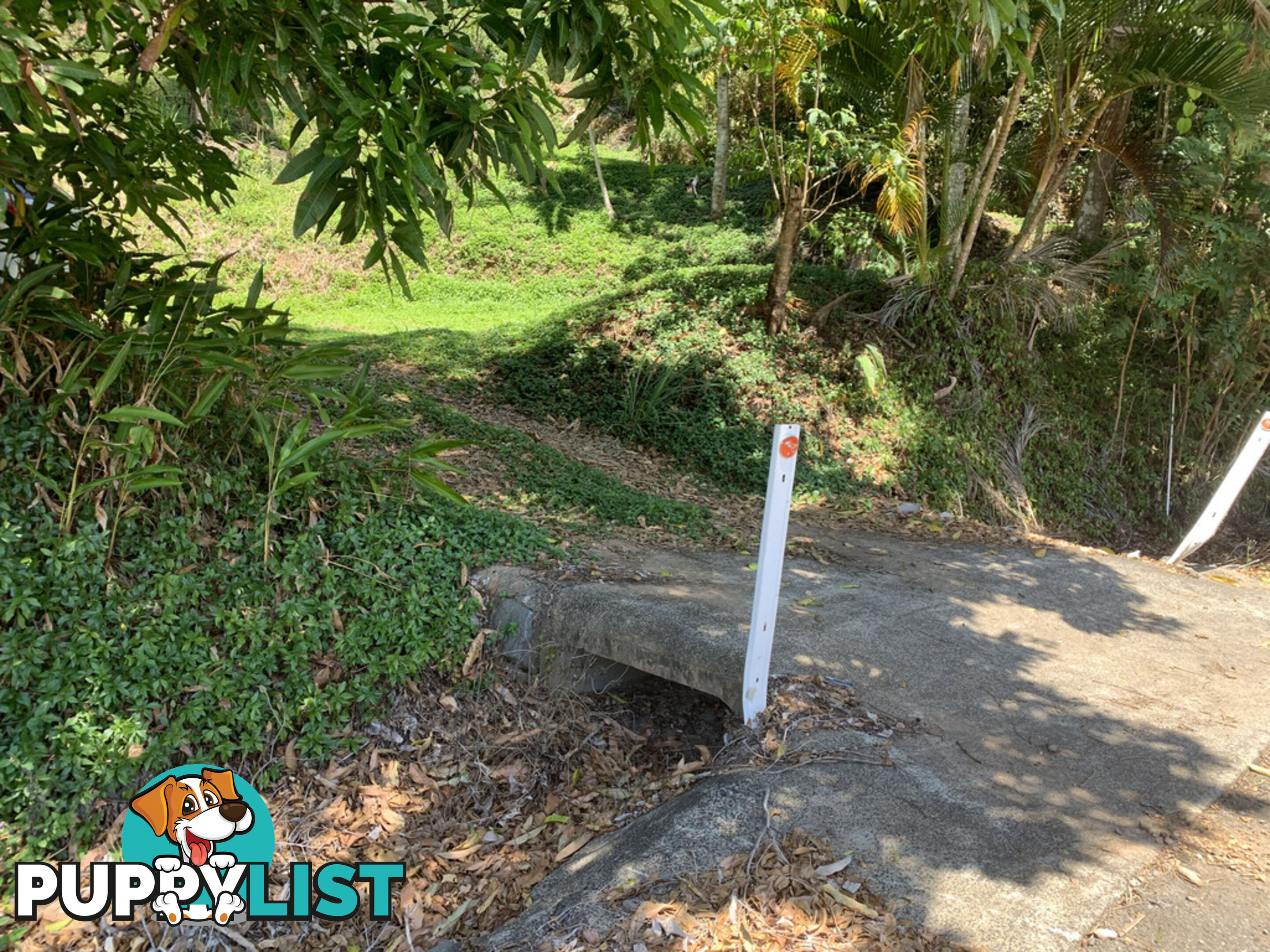 1549 Mossman Daintree Road WONGA BEACH QLD 4873