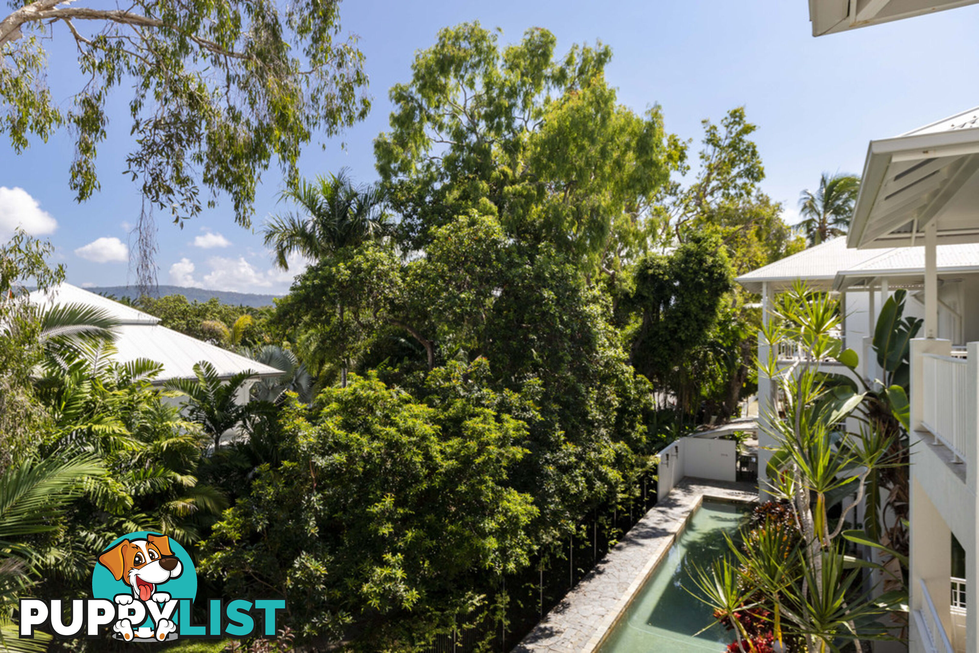 84/70-76 Davidson Street PORT DOUGLAS QLD 4877