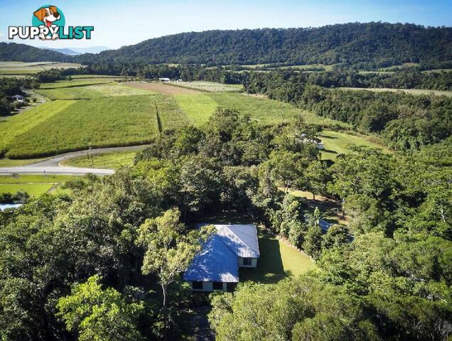 218 Mossman-Mt Molloy Road MOSSMAN QLD 4873