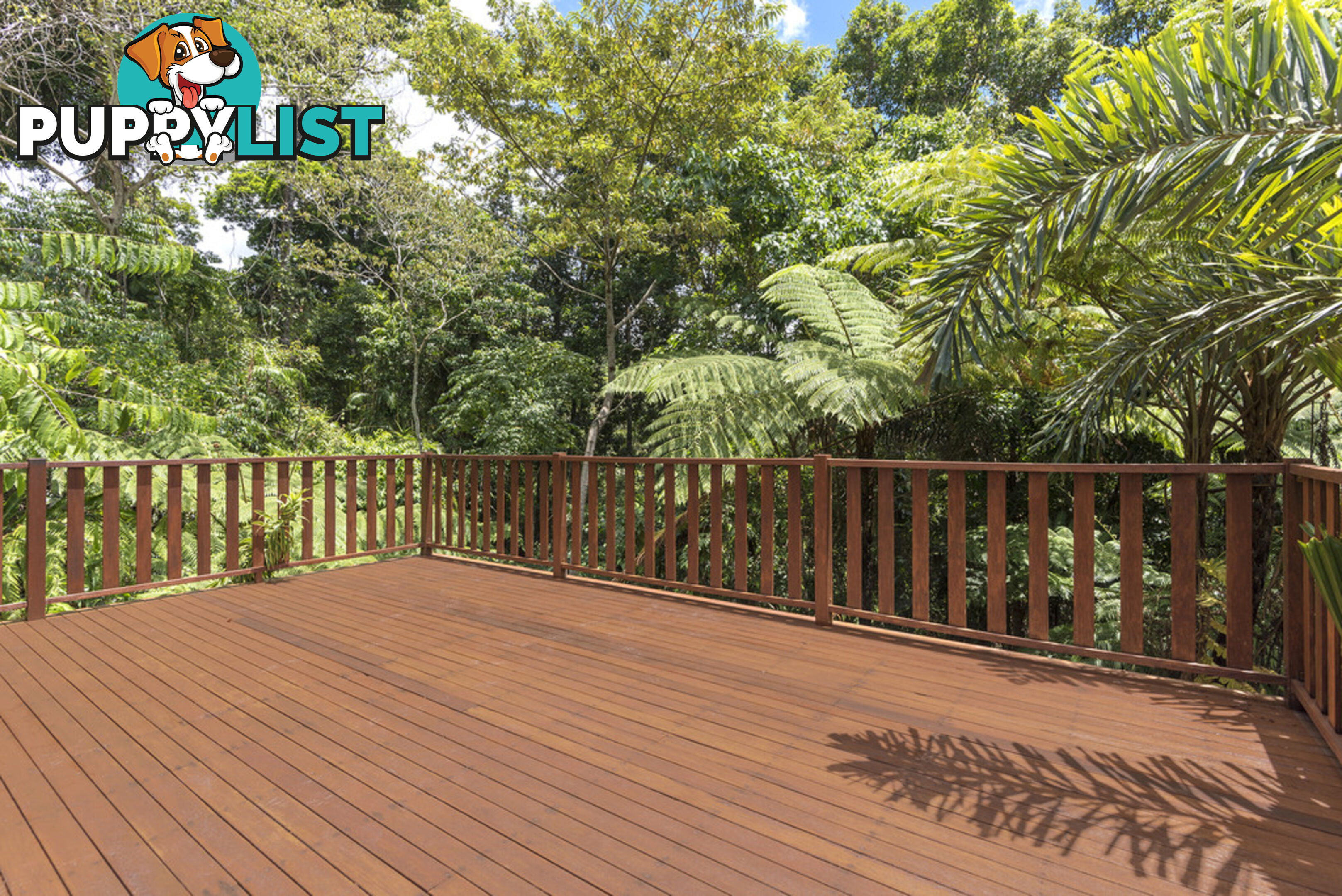 58 Maple Road, Cow Bay DAINTREE QLD 4873