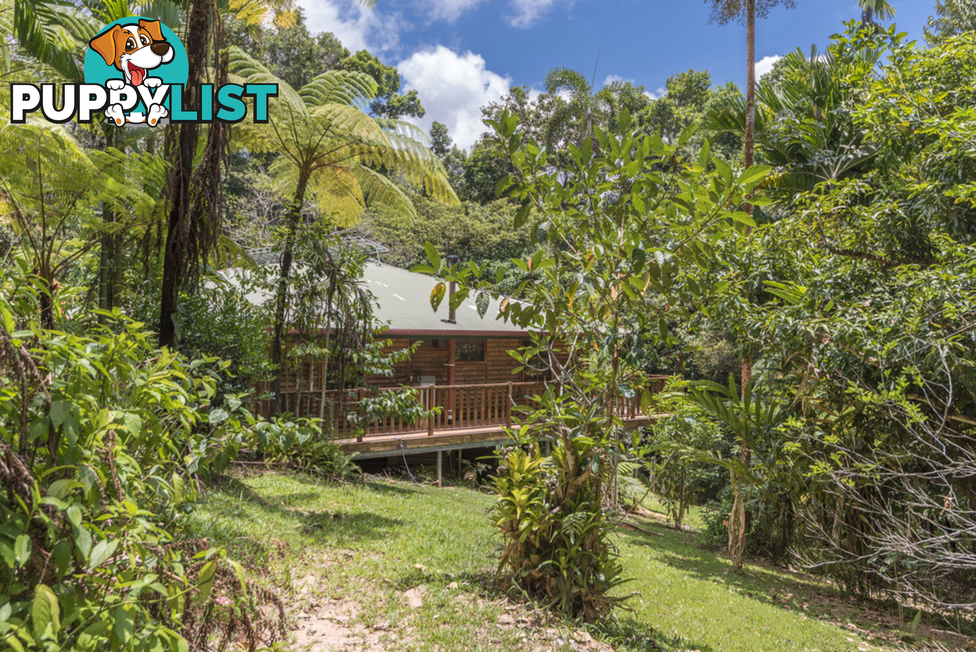 58 Maple Road, Cow Bay DAINTREE QLD 4873