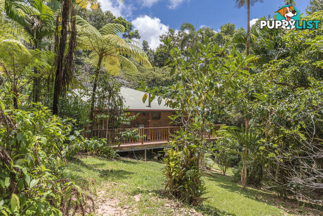 58 Maple Road, Cow Bay DAINTREE QLD 4873