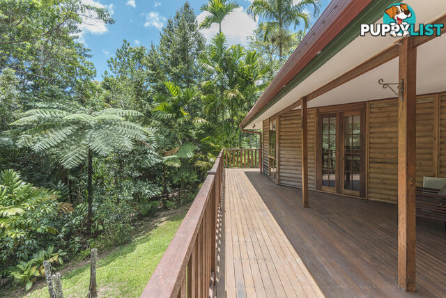 58 Maple Road, Cow Bay DAINTREE QLD 4873