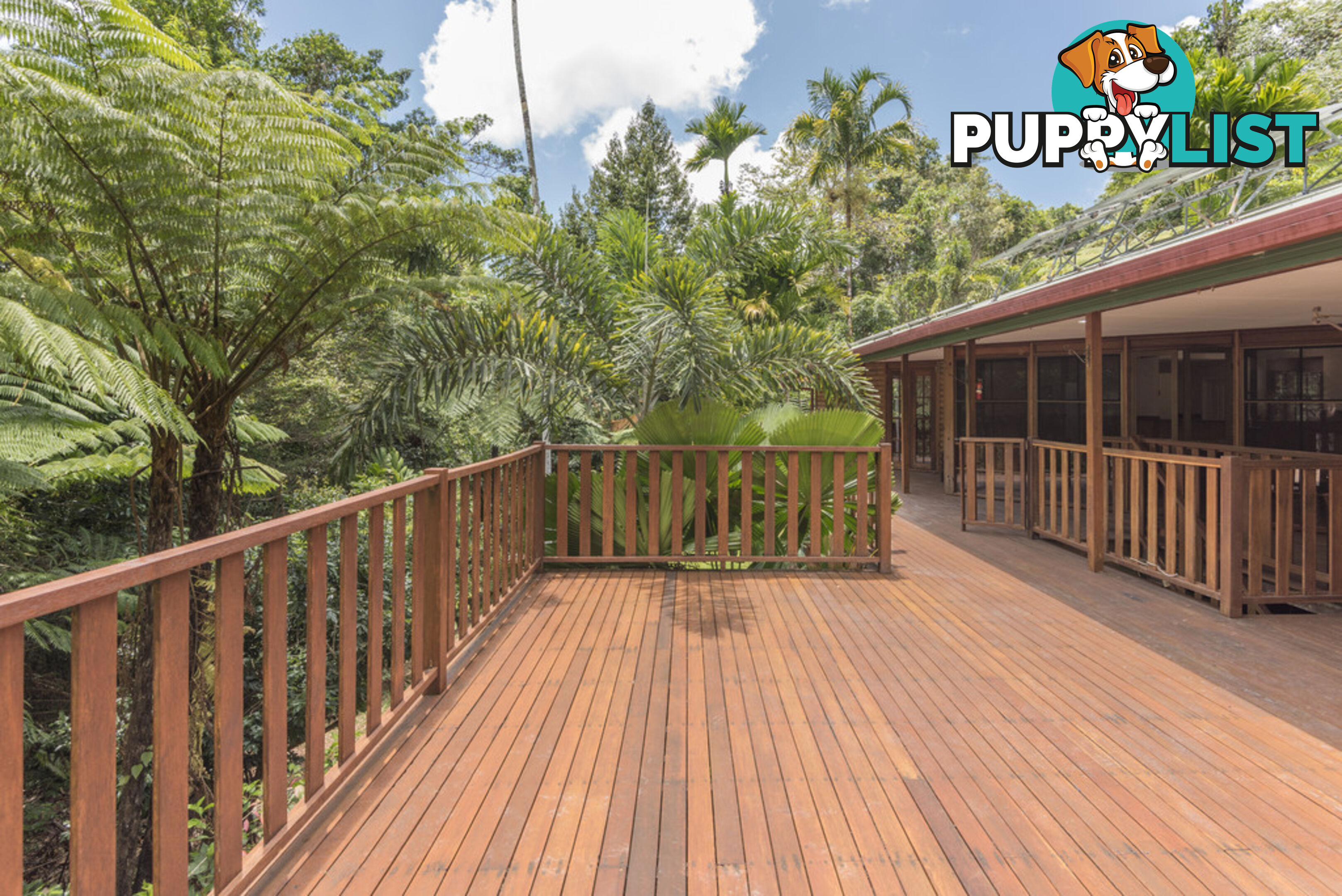 58 Maple Road, Cow Bay DAINTREE QLD 4873