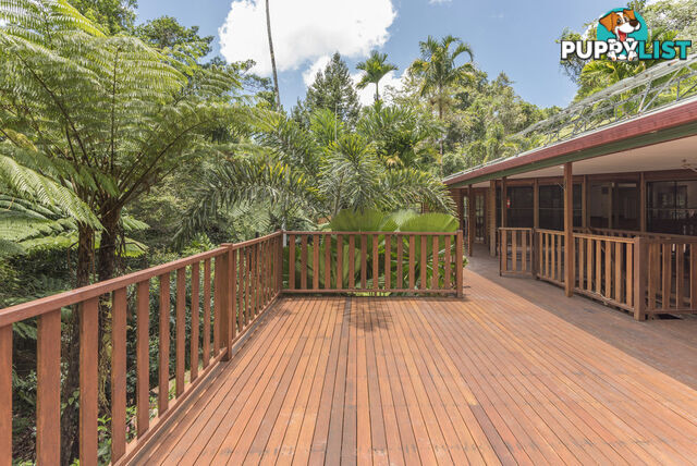 58 Maple Road, Cow Bay DAINTREE QLD 4873