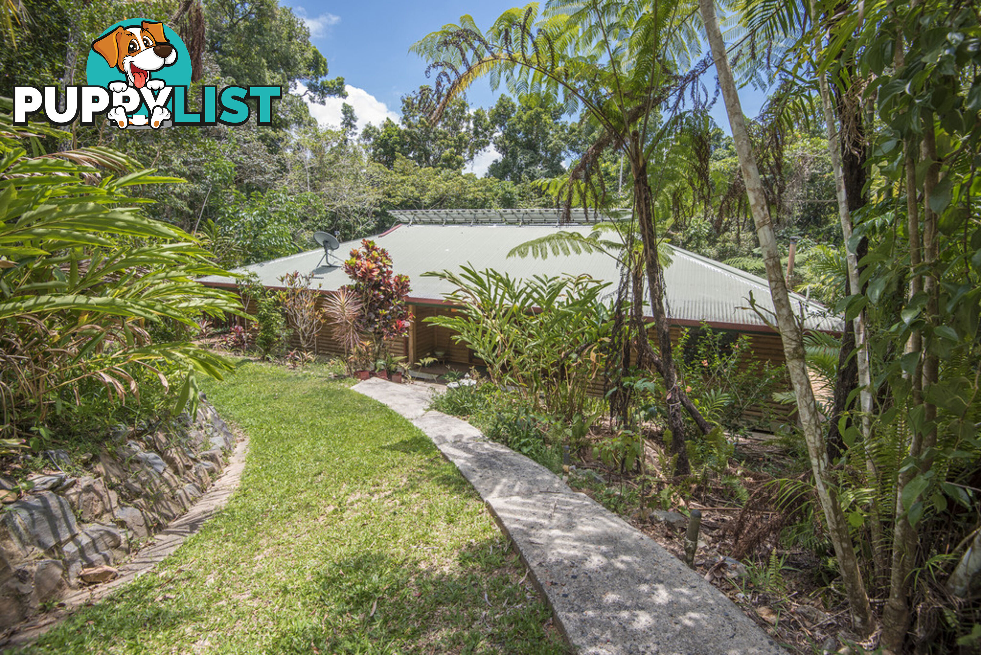 58 Maple Road, Cow Bay DAINTREE QLD 4873