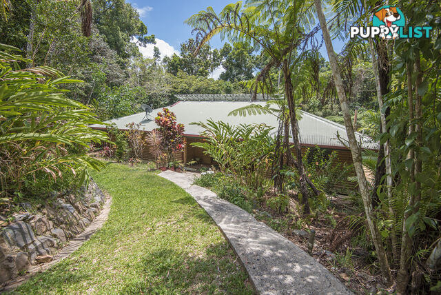 58 Maple Road, Cow Bay DAINTREE QLD 4873