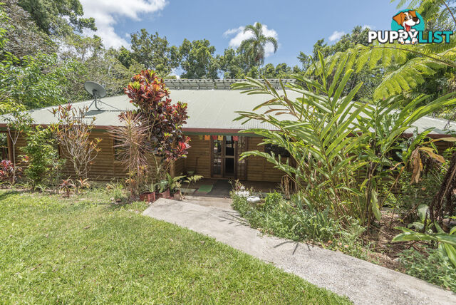 58 Maple Road, Cow Bay DAINTREE QLD 4873