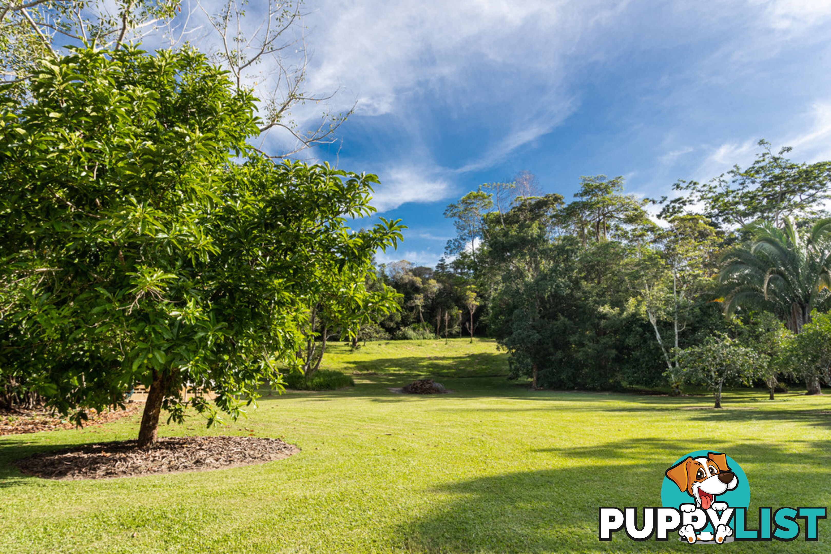 244 Clacherty Road JULATTEN QLD 4871