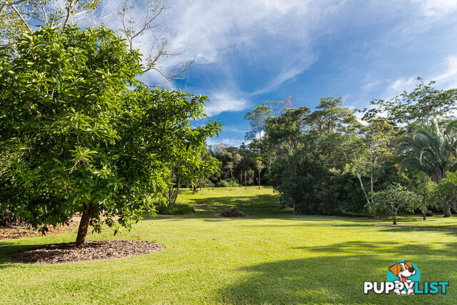 244 Clacherty Road JULATTEN QLD 4871