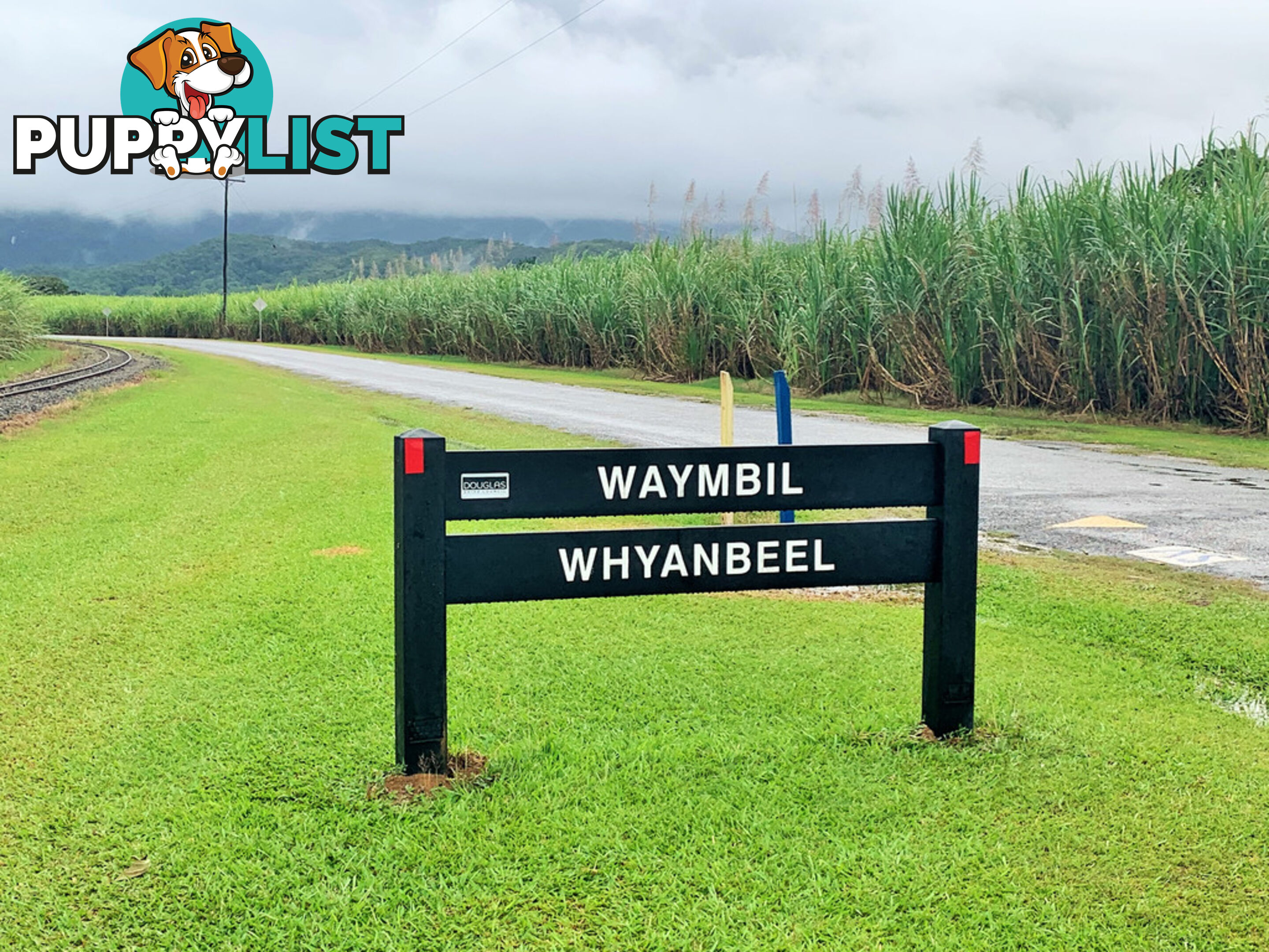 Lot 15 Whyanbeel Road WHYANBEEL QLD 4873