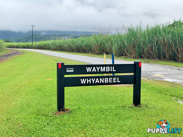 Lot 15 Whyanbeel Road WHYANBEEL QLD 4873