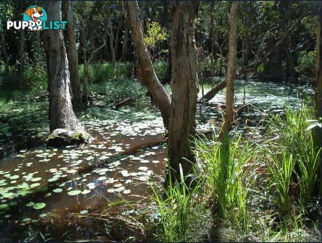 Lot 3 Euluma Creek Road JULATTEN QLD 4871