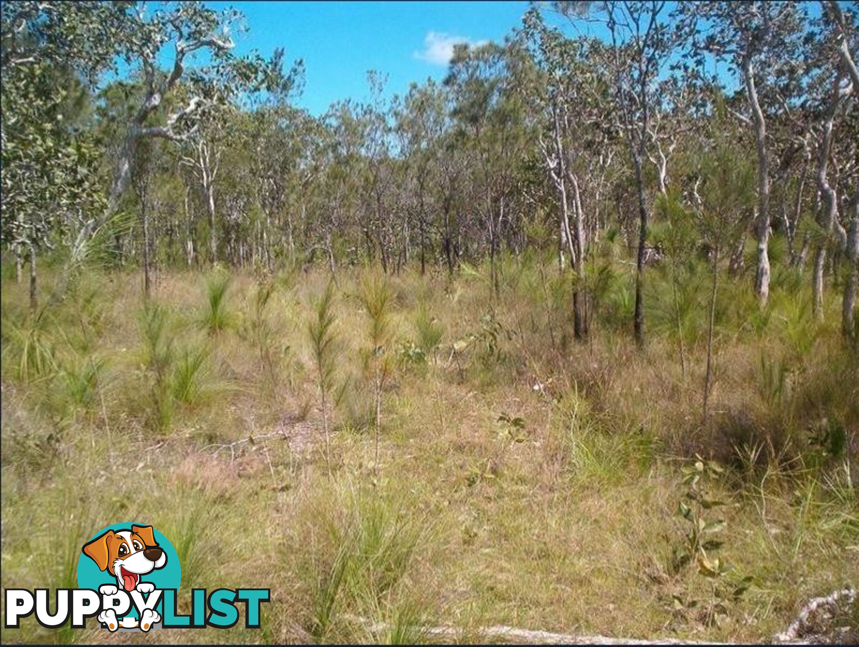 Lot 3 Euluma Creek Road JULATTEN QLD 4871