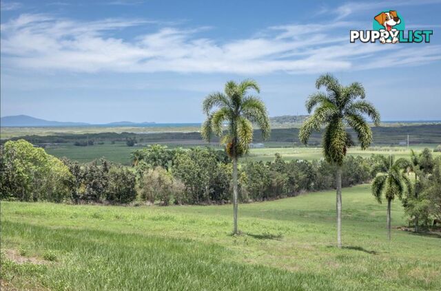 63 Heritage Lane PORT DOUGLAS QLD 4877