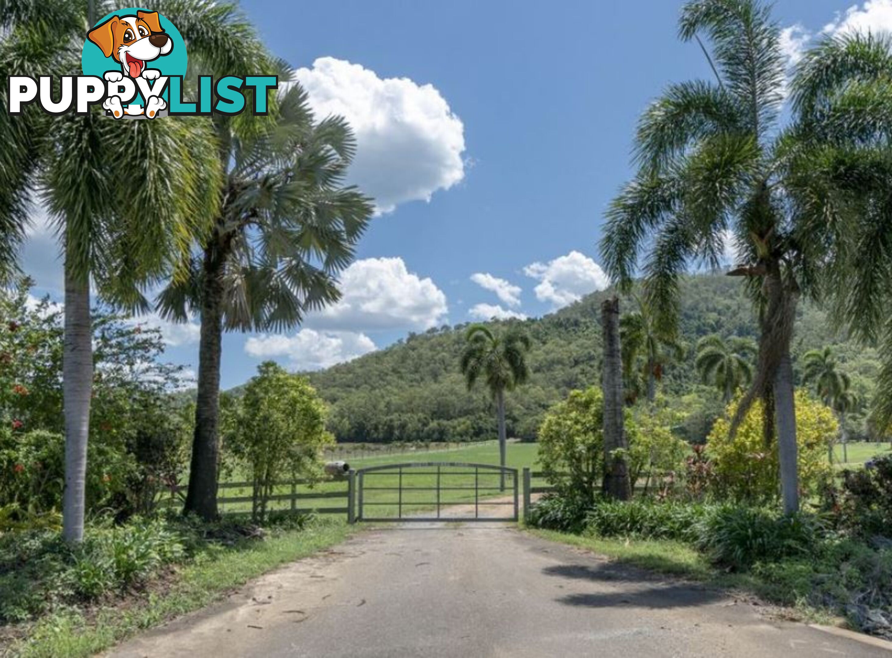 63 Heritage Lane PORT DOUGLAS QLD 4877