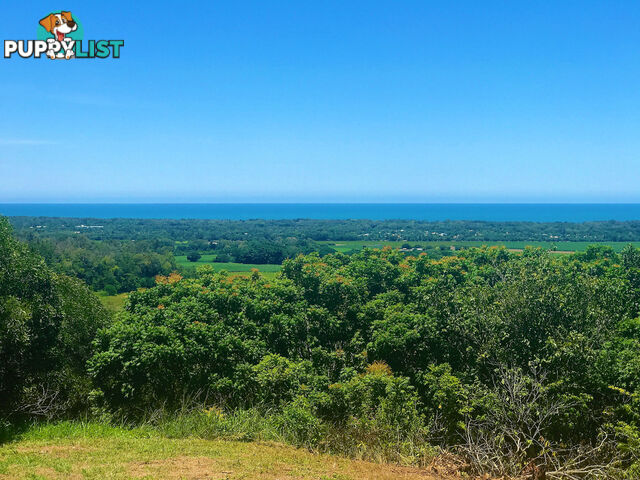 Lot 5 188 Ferrero Road PORT DOUGLAS QLD 4877