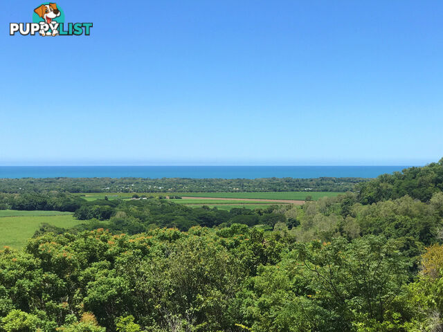 Lot 5 188 Ferrero Road PORT DOUGLAS QLD 4877