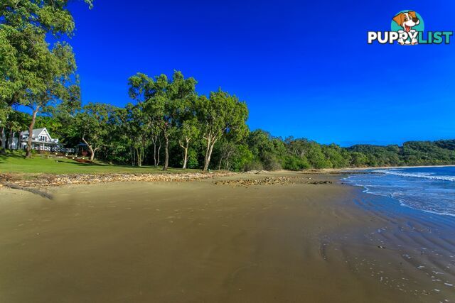 5146 Captain Cook Highway PORT DOUGLAS QLD 4877