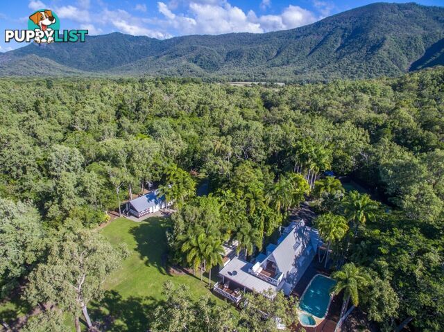 5146 Captain Cook Highway PORT DOUGLAS QLD 4877