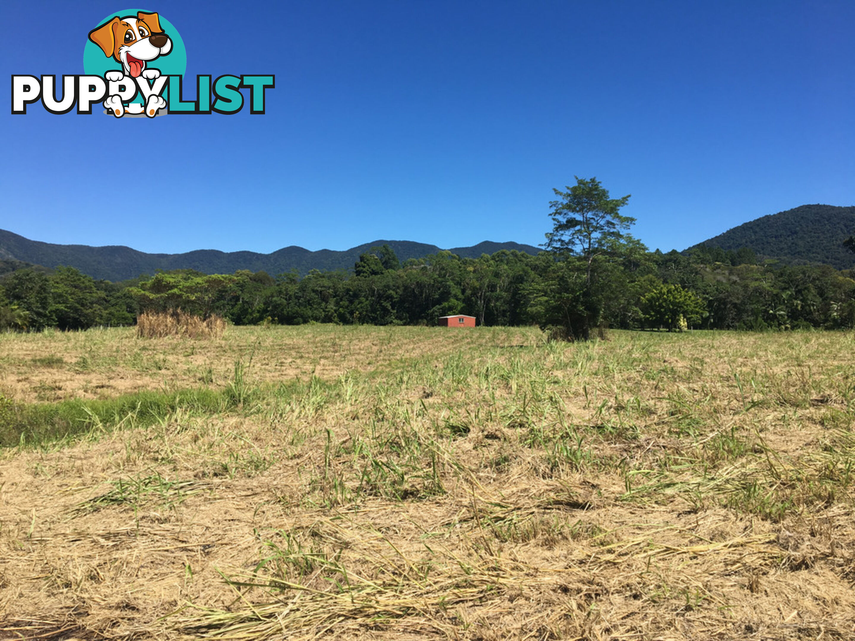 1734 Mossman-Mt Molloy Road JULATTEN QLD 4871