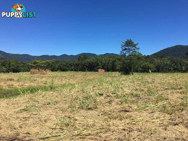 1734 Mossman-Mt Molloy Road JULATTEN QLD 4871