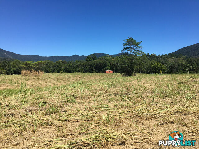 1734 Mossman-Mt Molloy Road JULATTEN QLD 4871