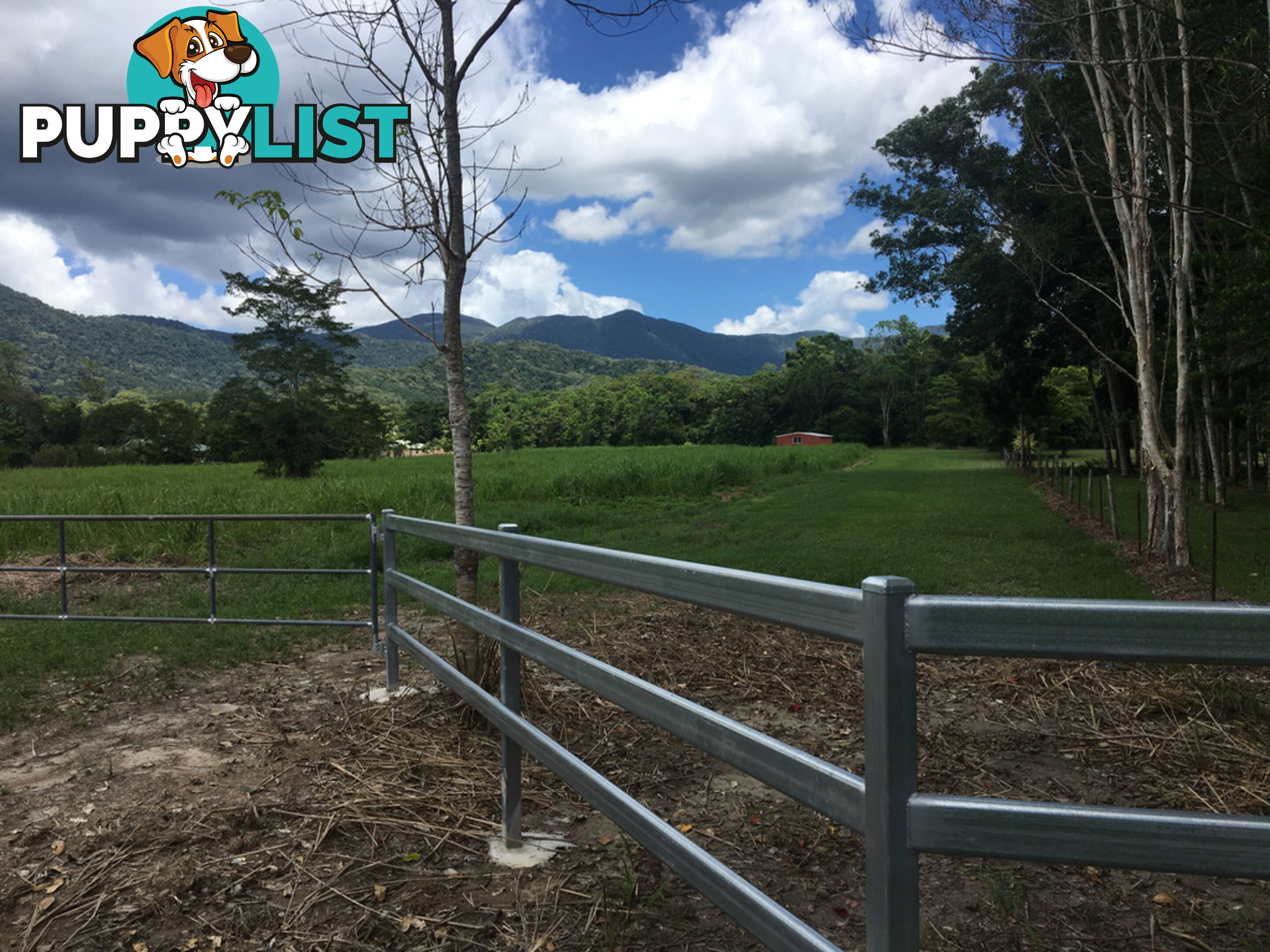 1734 Mossman-Mt Molloy Road JULATTEN QLD 4871