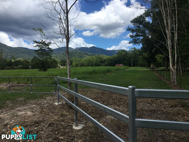 1734 Mossman-Mt Molloy Road JULATTEN QLD 4871