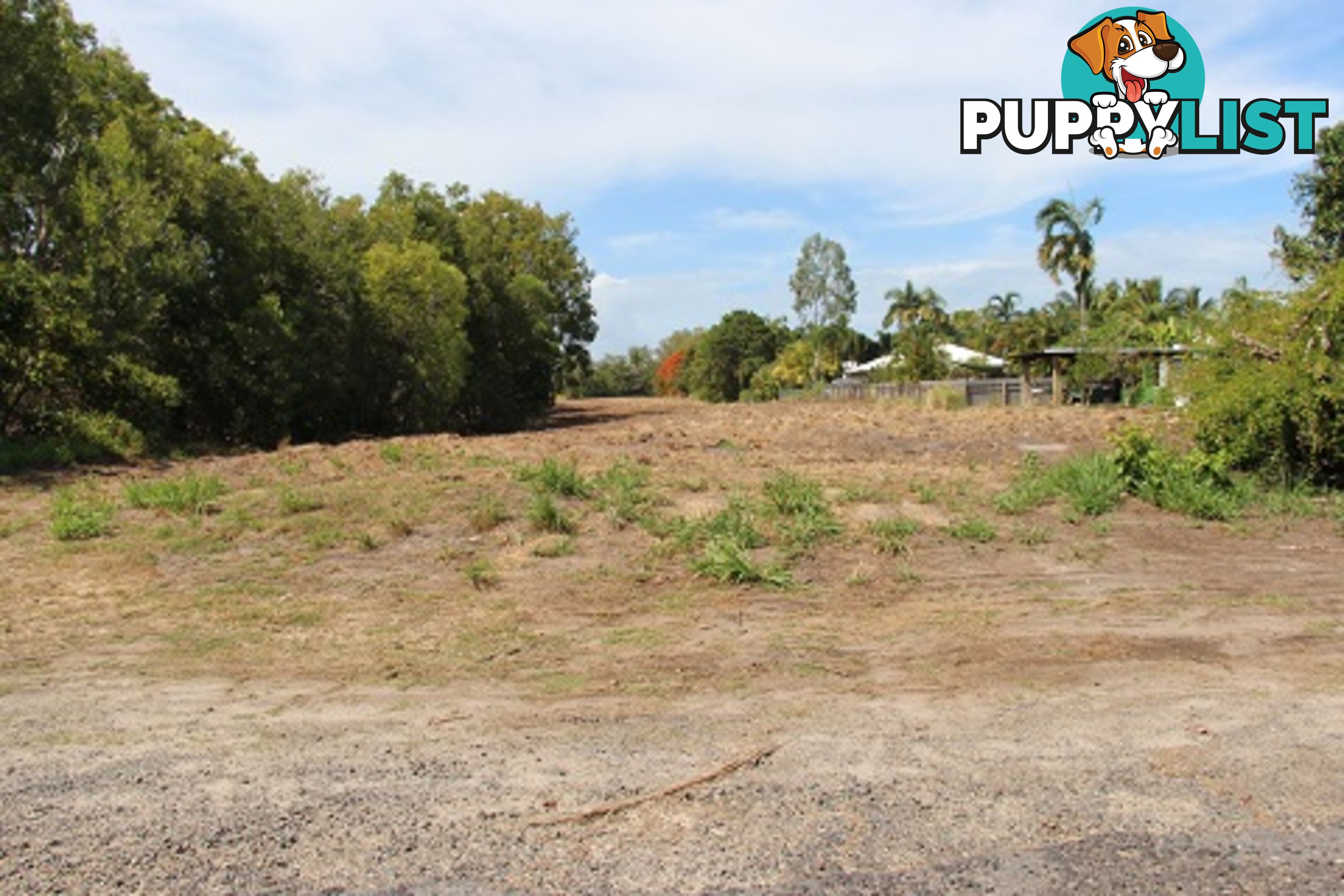 Lot 12 Palm Street COOYA BEACH QLD 4873