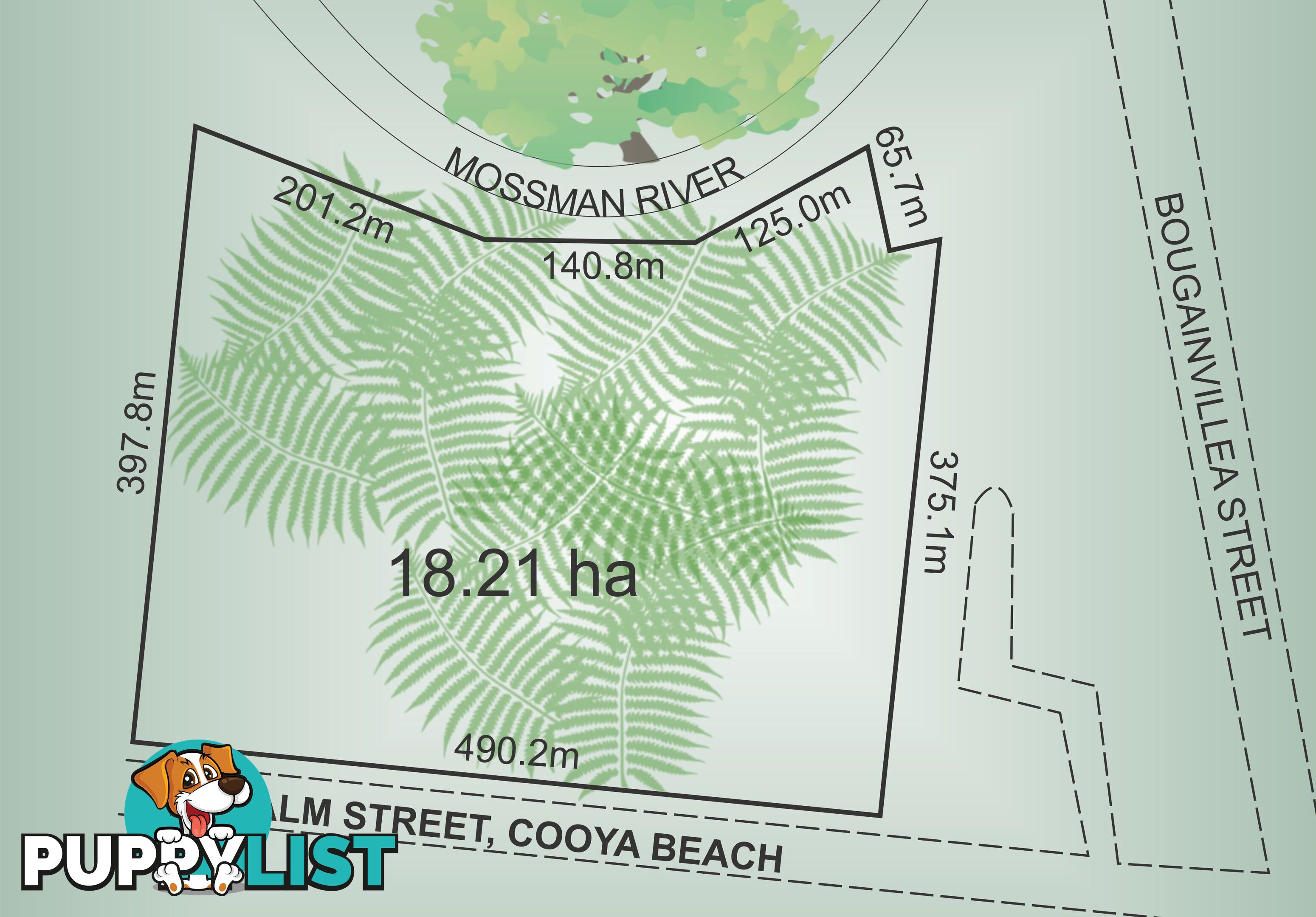 Lot 12 Palm Street COOYA BEACH QLD 4873